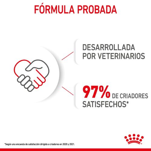 195 g Royal Canin Starter Mommy & Baby mousse latas para perros, , large Imagen numero 8